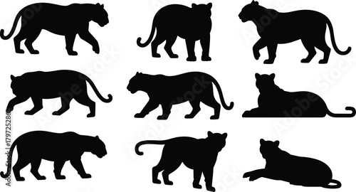 Big cat silhouette, tiger pose, panther stance, wild animal, feline movement, black vector, predator icon, sitting shape, walking figure, isolated graphic