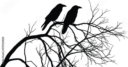 Two birds perched on leafless tree, silhouette nature scene, emotional moment vector, black white contrast, cad drawing flat vector illustration