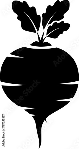  Beetroot Vegetable Glyph Icon Vector Illustration
