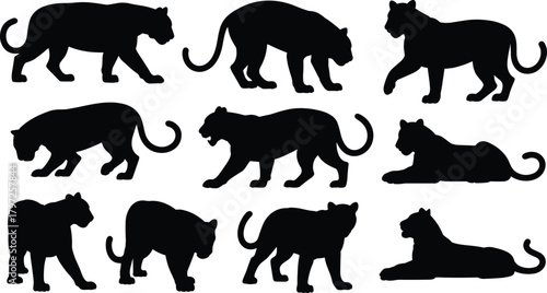 Panther silhouette, big cat pose, wild animal, feline movement, black vector, crouching stance, walking panther, isolated graphic, nature icon, predator shape