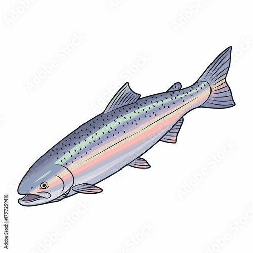 Detailed Illustration of a Realistic Salmon Fish Animal Aquatic Creature