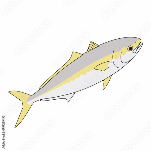 Simple Detailed Illustration of Yellowtail Fish Swimming Underwater Creature