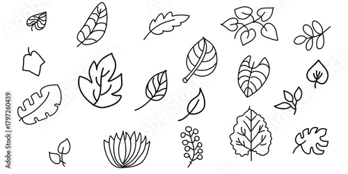 Hand drawn leaf doodle set- botanical line art collection 