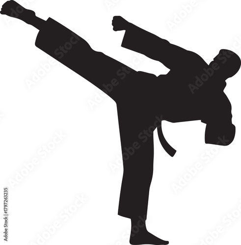 Silhouette of a martial artist performing a dynamic high side kick in a karate uniform