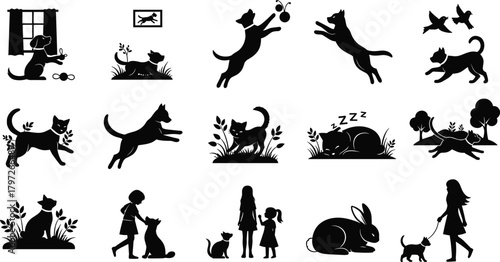 pet, dog, cat, bird, rabbit, silhouette, play, nature, interaction, sleep, chase, leap, companion, outdoor, animalpet, dog, cat, bird, rabbit, silhouette, play, 