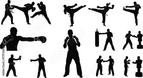 martial, boxing, combat, silhouette, training, sparring, punching, kicking, dummy, bag, stance, motion, technique, fitness, discipline