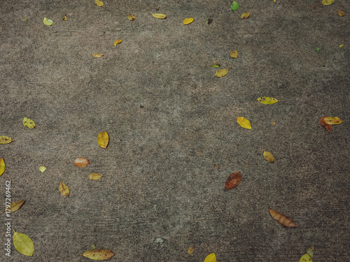 Close-up view of dry brown leaves scattered on a concrete walkway in a quiet garden, showcasing natural textures and earthy tones. Perfect for themes of autumn