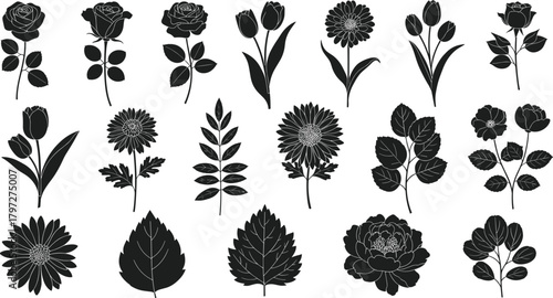 Set of detailed black floral silhouettes, various hand-drawn spring flowers, leaves, and buds including rose, tulip, and chrysanthemum isolated on white background.