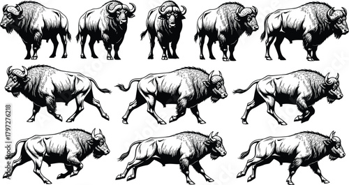 Bison silhouette vector set, black and white wildlife icons, standing and running poses, muscular animal design, nature themed graphic elements