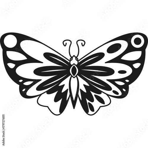 Monochromatic Butterfly Silhouette with Intricate Wing Patterns Isolated on White Background Detailed Outline Insect Art