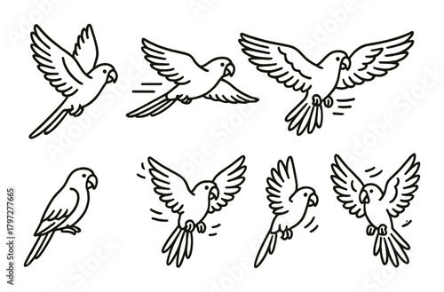 Outline illustrations of parrots in flight on dark background