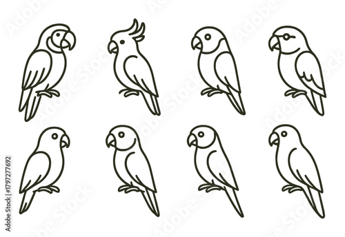 Outline illustrations of eight parrots with various feather styles on olive background