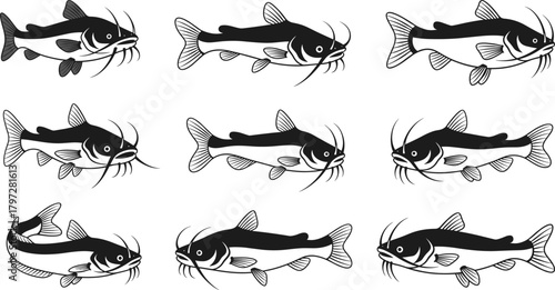 Set of detailed catfish vector illustrations showing various swimming poses, ideal for fishing designs, aquatic logos, wildlife education graphics, branding, and digital artwork projects