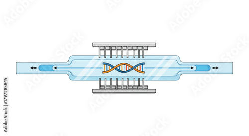 DNA strand inside transparent tube with arrows showing direction, a modern science concept for medical research and laboratory study from scalable graphics