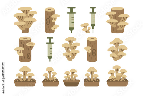 Mushroom cultivation process showing fungi growing on logs and substrate with inoculation syringes