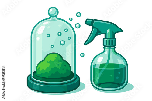 Small green houseplant under a glass dome next to a liquid spray bottle