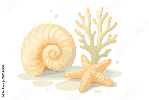 Beige nautilus shell, orange starfish, and white branching coral composition