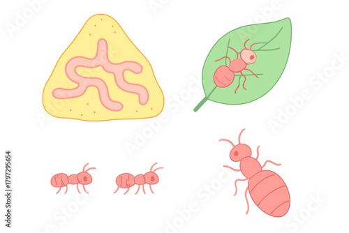 Simple cartoon depiction of ants, ant hill cross section, and insect on a green leaf for biology study