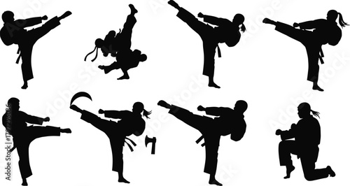 Silhouettes of martial artists performing karate kicks