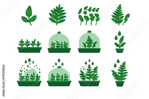 Stylized green plants, leaves, seedlings, and terrariums set for gardening themes