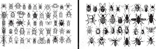 bug collection clipart, insects vector, butterfly beetle design, entomology science art, nature bug drawing, wildlife insects artwork, creepy crawly set, educational biology vector, bugs pattern, real