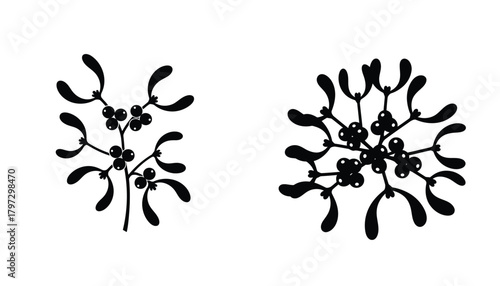Two black silhouettes of mistletoe branches