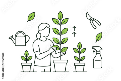 Home gardening and plant care concept with person tending to growing potted greenery
