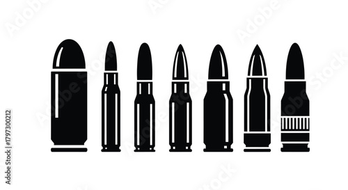 A collection of various ammunition types displayed in a simple black and white style