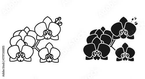 Detailed outline and bold silhouette vector graphics of exotic orchid flowers, ideal for elegant design applications and decor.