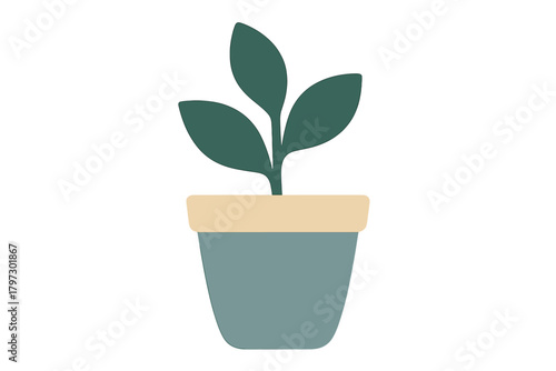 Minimalist potted houseplant with three dark green leaves in a simple blue container