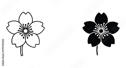 Cherry blossom flower icon set: detailed outline and solid black silhouette, minimalist vector graphic on white background