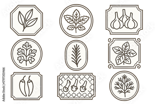 Vintage style drawings of culinary herbs and spices like basil and rosemary in decorative frames