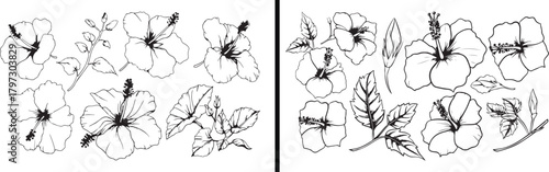  flower clipart, floral illustration, botanical art vector, hand drawn flower design, nature bloom clipart, garden floral vector, minimalist flower art, spring bloom illustration, botanical vector art