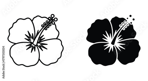 Hibiscus flower icon set featuring outline and solid black silhouette versions, tropical plant blossom symbol