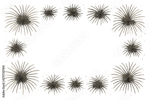 Stylized botanical frame border design with spiky star shapes on a white background