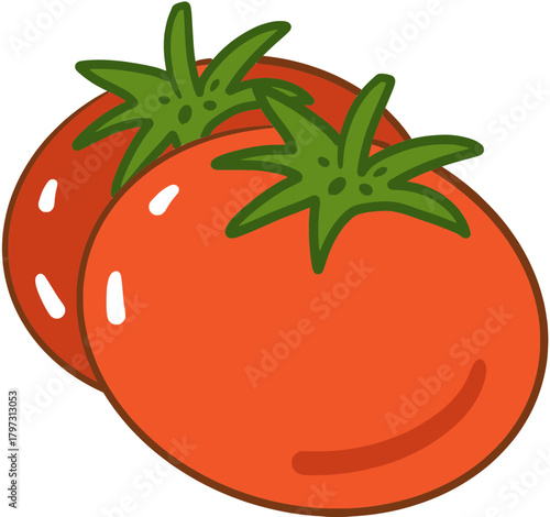tomato vector illustration