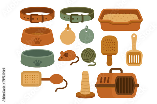 Essential cat and kitten accessories set including collars, feeding bowls, toys, litter box, and carrier