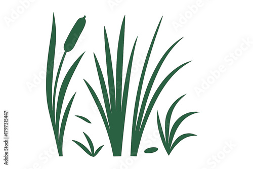 Minimalist silhouette of cattail plant and tall marsh reeds growing in a wetland environment