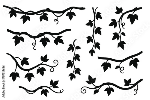 Black silhouette of ivy vine branches with leaves and curling tendrils