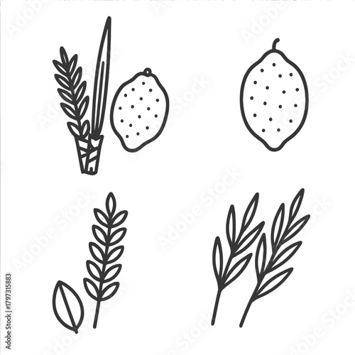 Traditional Jewish Sukkot holiday symbols featuring the Four Species Etrog Lulav Hadas Aravah