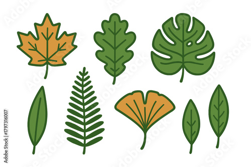 Diverse stylized leaves collection representing various tree and plant species