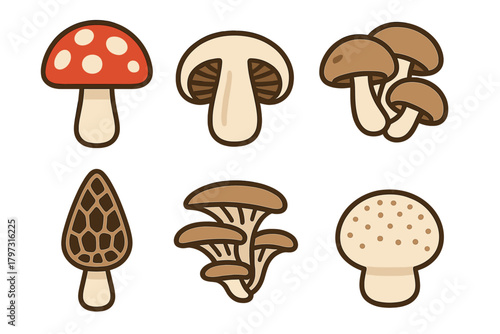 Set of six different types of wild and cultivated fungi including toadstool, button, morel, and oyster mushrooms