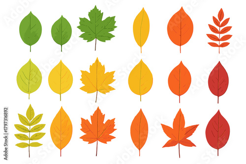 Diverse collection of colorful autumn and green summer tree leaves set isolated on white