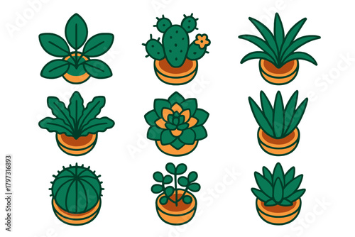 Stylized potted houseplants and desert succulents in terracotta pots for home decoration