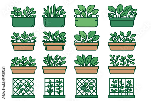 Various potted green plants, seedlings, and climbing vines on trellises