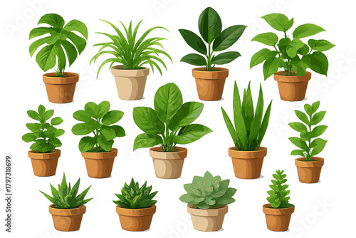 Assortment of popular green indoor plants in terracotta pots on white background