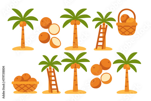 Tropical palm trees with ripe coconuts and baskets for harvesting on sandy islands