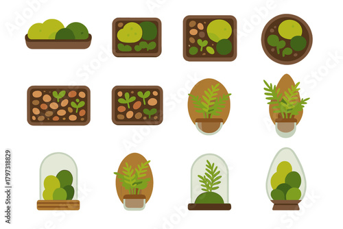 Collection of miniature indoor garden elements, potted ferns, moss, and sprouting seedlings