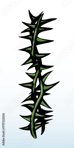 Vector drawing. Big thorn branch