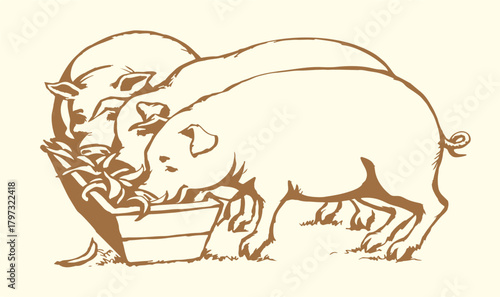 Vector drawing. Pigs eating rhe food